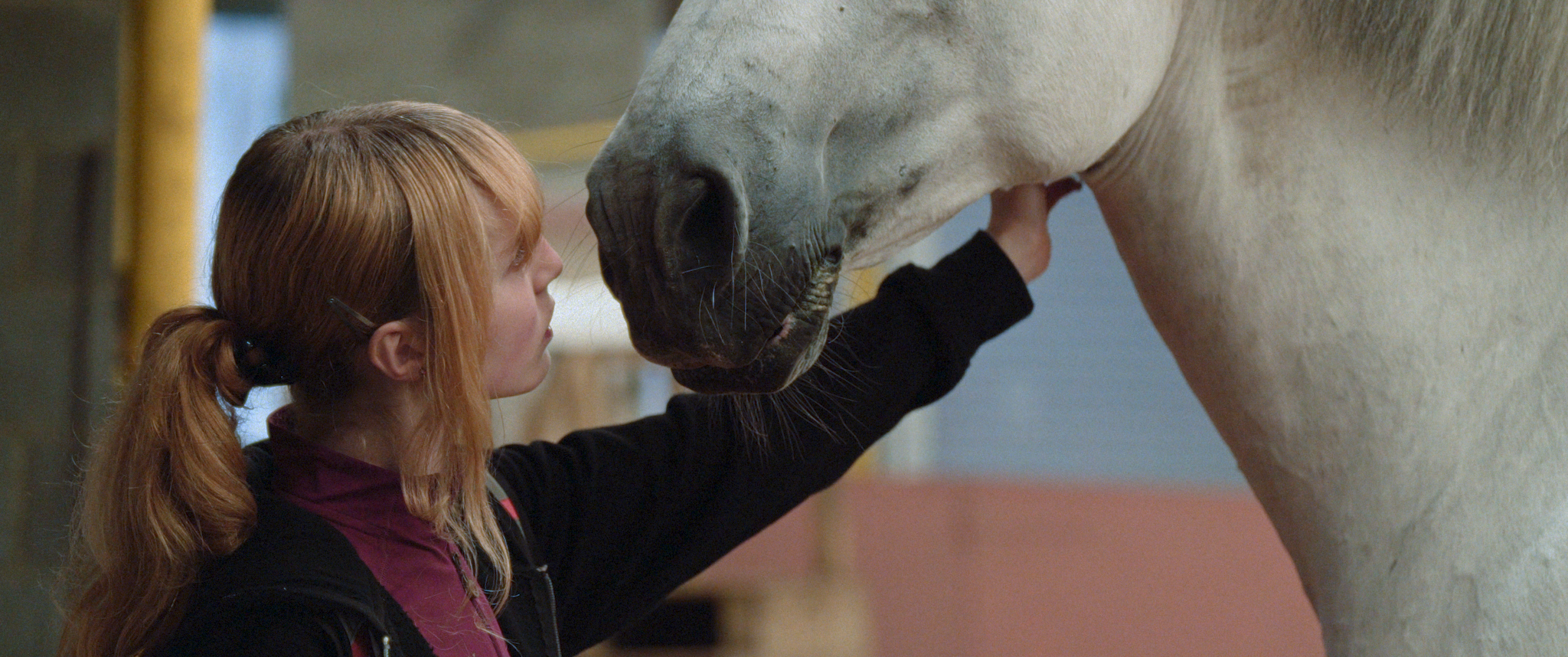 A young person stroking the neck of a grey horse.